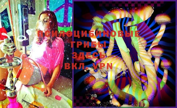дурь Наволоки